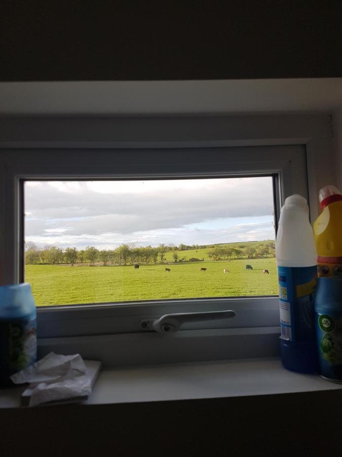 Brendan's On Same Grounds As Family * Armoy